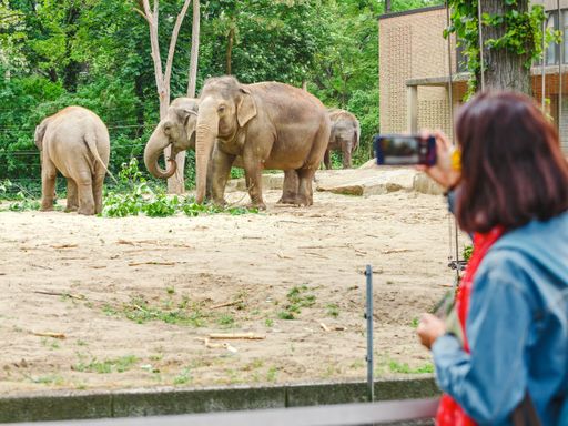 2 Tage Kurztrip nach Dresden für 2 im 3* Hotel in der Altstadt inkl. Zoo Eintritt