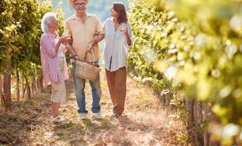 Entspannungs-Woche in der Pfalz