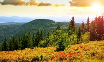 5 Tage Relax-Urlaub in Bayern im Wellnesshaus Waldmünchen verbringen & pure Erholung genießen