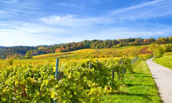 4 Tage Aktivurlaub in der Kur- und Weinstadt Bad Dürkheim & Pfälzische Spezialitäten genießen