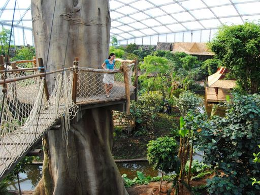 Faszination Gondwanaland im Zoo Leipzig