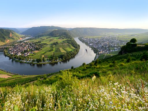 6 Tage Urlaub an der Mosel im beschaulichen Valwig genießen