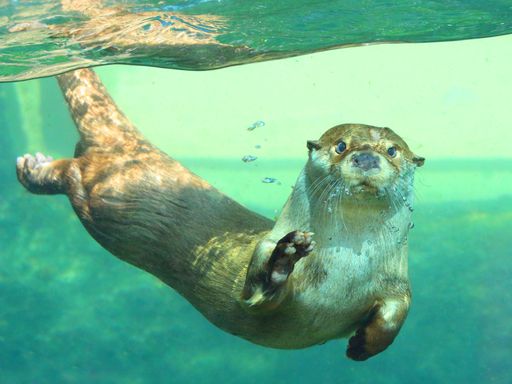 3 Tage Kurzurlaub in Leipzig für die ganze Familie inkl. Zooeintritt