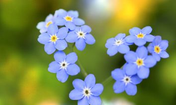 Bade-, Sauna- und Wellnesstage bei Zwickau