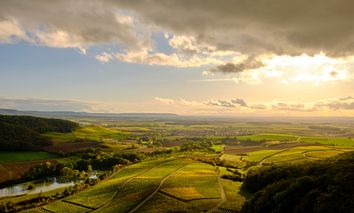 2 Tage Entdeckungsreise in Schweinfurt: Kulinarik und Komfort im Hotel Ross