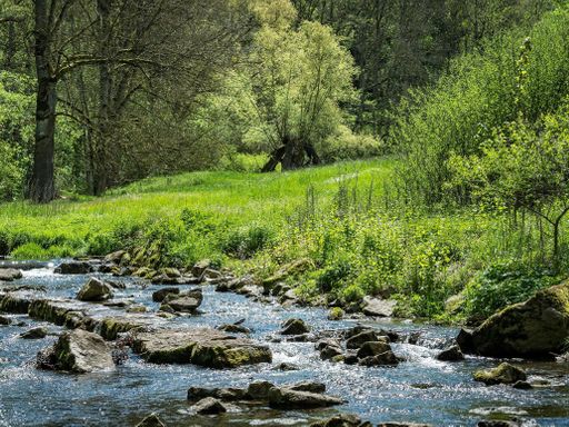 4 Tage Erholungsurlaub im 3* Hotel Häfner & das Technik Museum in Speyer erleben