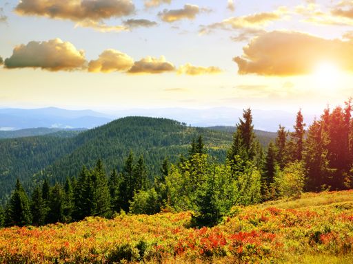 5 Tage Relax-Urlaub in Bayern im Wellnesshaus Waldmünchen verbringen & pure Erholung genießen