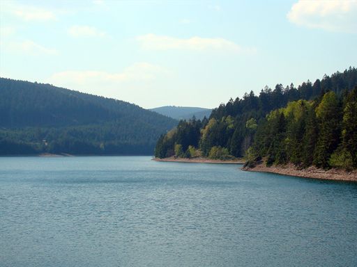 5 Tage Auszeit in der Natur: Genuss und Erholung im Waldhotel Berghof im Thüringer Wald