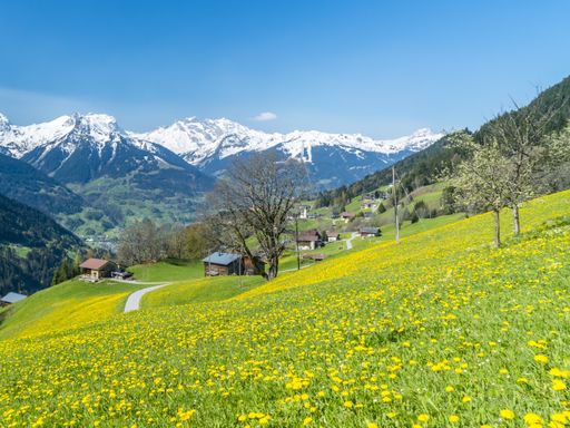 3 Tage Wohlfühlurlaub im Allgäu und im modernen Felix Hotel Kaufbeuren übernachten