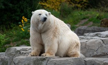 3 Tage Kurzurlaub nahe München erleben & den Tierpark Hellabrunn besuchen