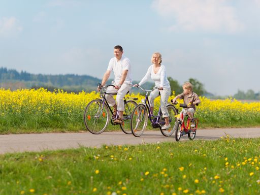 4 Tage Urlaub in der historischen Stadt Hildesheim und die Hildesheimer Börde mit dem Fahrrad erkunden