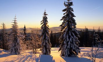 3 Tage Winter- Wohlfühl- Wellness inkl. HP Plus