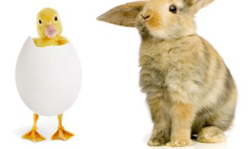 HP+: 4 Tage Osterspecial im Sauerland