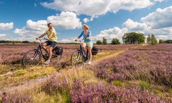 Mit dem Rad durch die Heide
