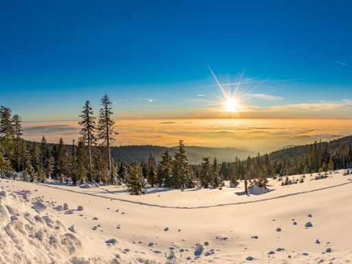 3 Tage Erholungsurlaub im Wellnesshaus Waldmünchen im traumhaften Bayerischen Wald genießen