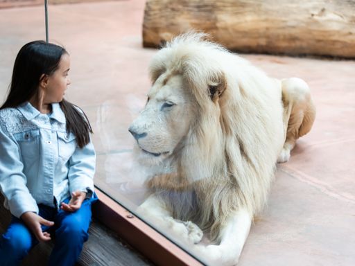 5 Tage Familienreise nach Dresden inkl. Zoobesuch & im 3* Hotel übernachten