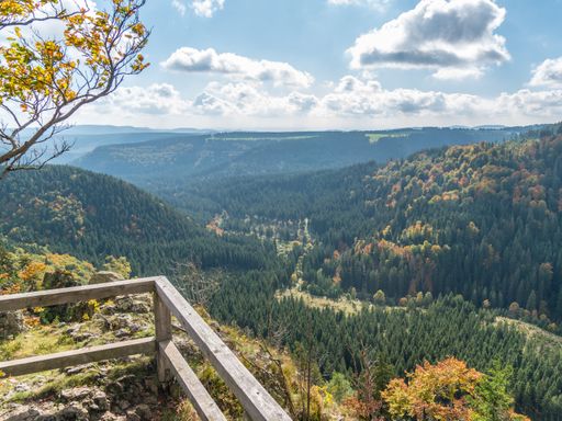 5 Tage Aktivurlaub im Harz & den historischen Charme Quedlinburgs fühlen