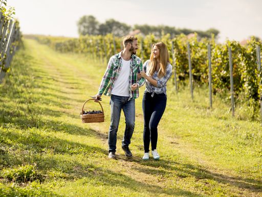 4 Tage Romantikurlaub an der Pfälzer Weinstraße & im 4* Hotel in Bad Dürkheim erholen