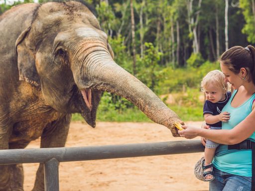 2 Tage Städtetrip in die weltoffene Stadt Köln inkl Zoobesuch & im 4* PhiLeRo Hotel