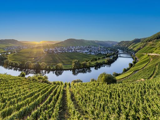 3 Tage Kurzurlaub für Alleinreisende an der Mosel im 4* Eurostrand Resort Moseltal: Kultur, Kulinarische Vielfalt und ganz viel Natur