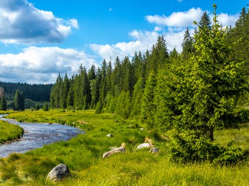 3 Tage Kurzurlaub zum Relaxen & Erholen im Wellnesshaus Waldmünchen inmitten traumhafter Natur des Bayerischen Waldes