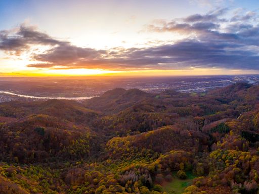 Wandertage auf dem Rheinsteig  - 2 Tage