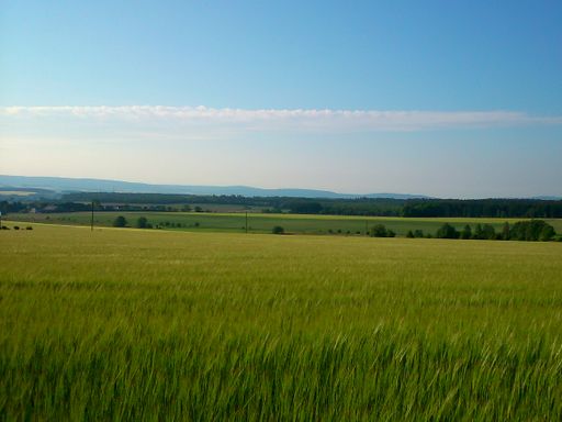 Auszeit im Hunsrück