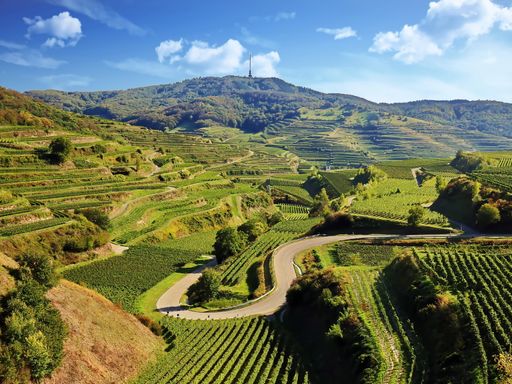 2 Tage bei einer Kurzreise nach Bahlingen am Kaiserstuhl im 3-Sterne-Superior Hotel erholen