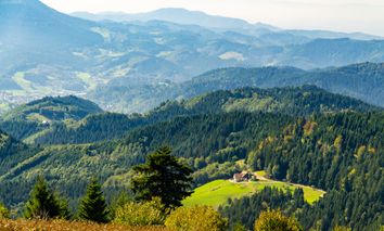 Mitten im (Schwarz)Wald - 5 Tage