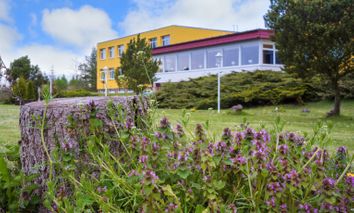 5 Tage Harz-Schnäppchen inkl. Halbpension plus