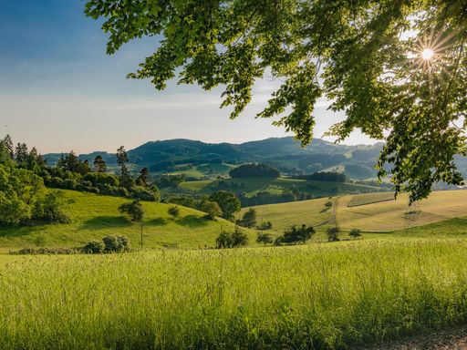 7 Tage Urlaub im Geo-Naturpark Bergstarße-Odenwald im 3* Hotel mitten im Grünen