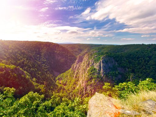 4 Tage Kurzurlaub in Thale im Nationalpark Harz und im Landhotel + Sauna übernachten