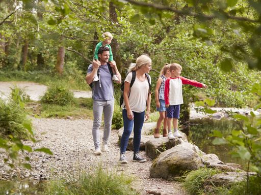 Bayerischer Wald für Familien - Kinder gratis* 8Tg/HP