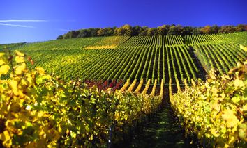 8 Tage Urlaub zwischen Wäldern & Weinbergen im fränkischen Vorspessart