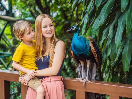 2 Tage Familienerlebnis inkl. Familien-Zooticket in Leipzig erleben