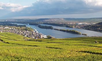 4 Tage Frühling, Sommer und Herbst am Rhein