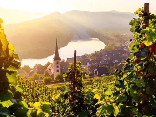 4 Tage in der Eifel verwöhnen lassen im Hotel Lellmann direkt an der Mosel