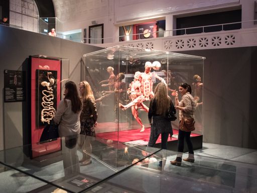 3 Tage Kultur & Natur in Bad Schönborn & das Körperwelten Museum in Heidelberg erleben