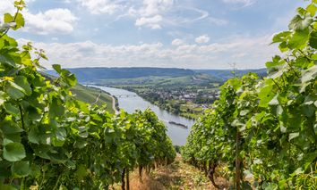 6 Tage Wandern, Wellness und Weinberge bei einer Reise an die Mosel erleben