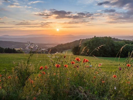 Hohenrodaer Schnupperwochenende