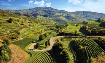 3 Tage Kurzurlaub in Staufen im Breisgau erleben & in historischem Hotel mit Schwarzwald-Flair wohlfühlen