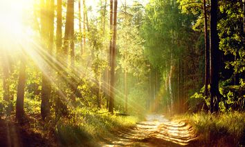 Zu kurz aber schön!  inkl. 4-Gang-Schlemmermenü