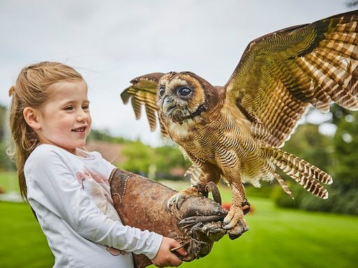 Familientipp: Weltvogelpark Walsrode