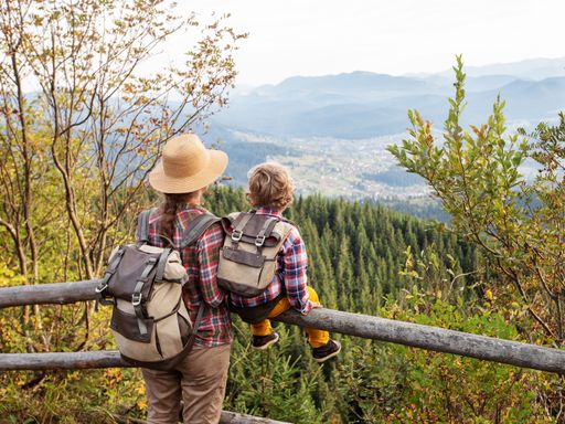 Bayerischer Wald für Familien - Kinder gratis* 7Tg/HP