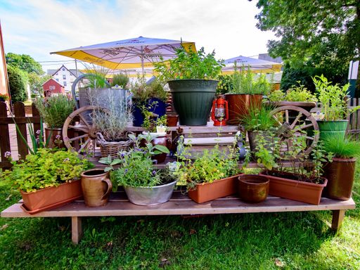 4 Tage Last Minute im Erzgebirge inkl. All Inklusive