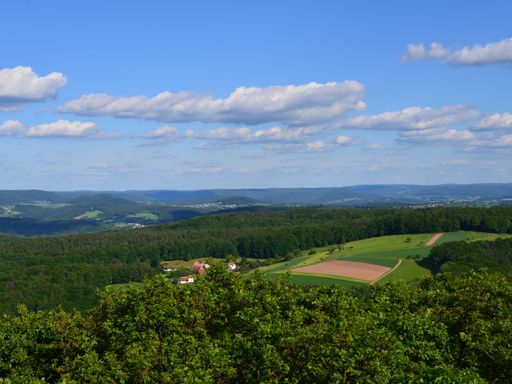 3 Tage Wanderurlaub zwischen Wäldern und Weinbergen im traditionsreichen Hotel Zum Freigericht in Alzenau