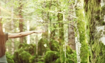 8 Tage bei einer Reise an die Mosel im Hotel Lellmann bei Wein und Wandern die Seele baumeln lassen