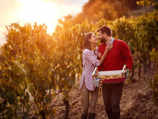 3 Tage Mosel mit relaxen, genießen und gutem Wein in Löf