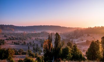 2 Tage Erholungsreise inkl. Wellness im 4* Eurostrand Resort Lüneburger Heide