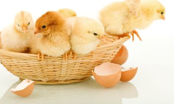 Oster Urlaub bei Zwickau-inkl. Osterüberraschung